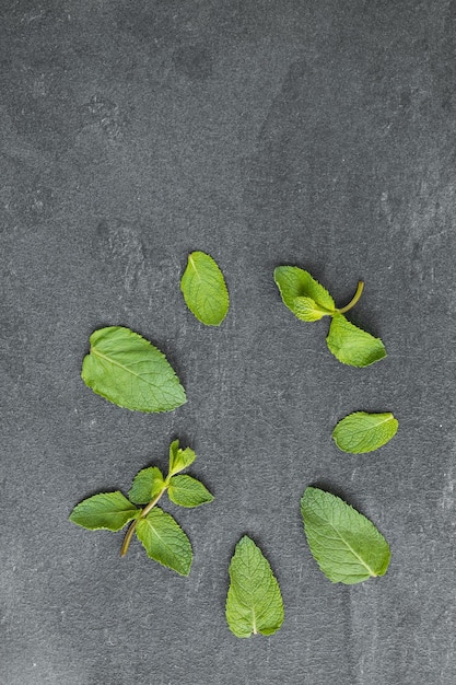 Fondo del modello delle foglie verdi della menta