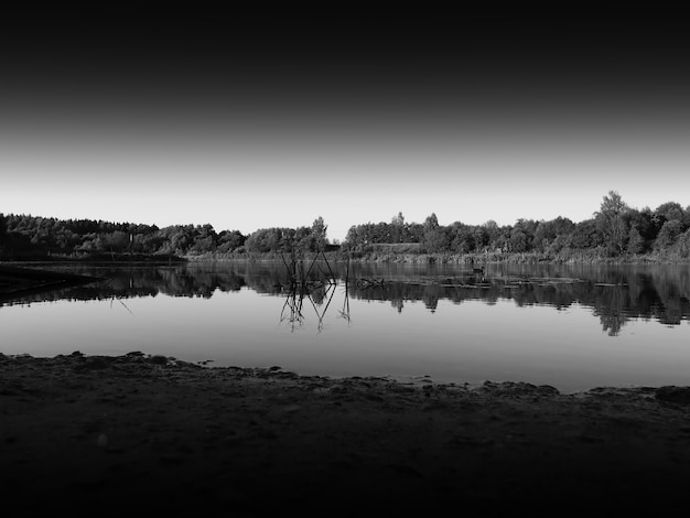 Fondo del paesaggio del fiume della foresta in bianco e nero