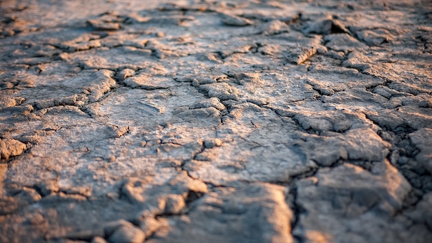 Fondo del suolo di terra screpolata