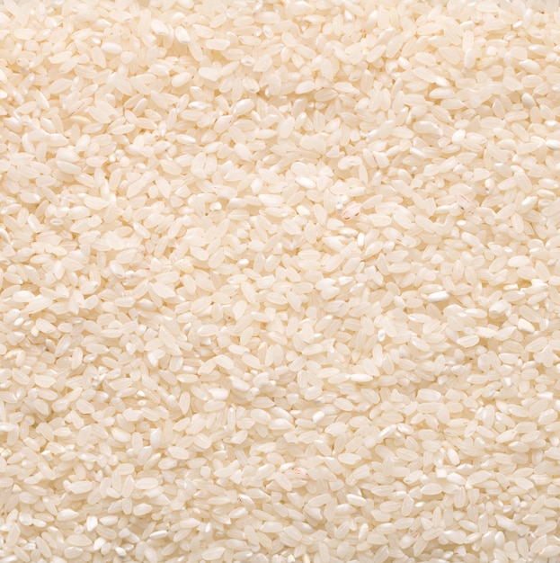 fondo dell'alimento del chicco di riso bianco crudo