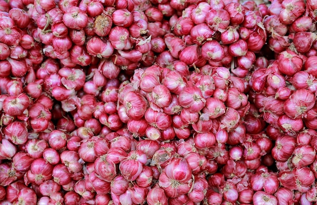 Fondo della cipolla rossa nel mercato Tailandia.