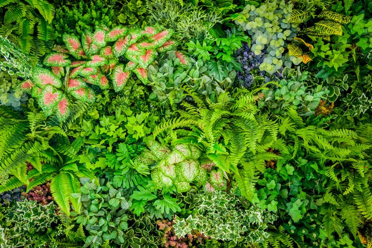Fondo della pianta di plastica sulla parete, giardino verticale