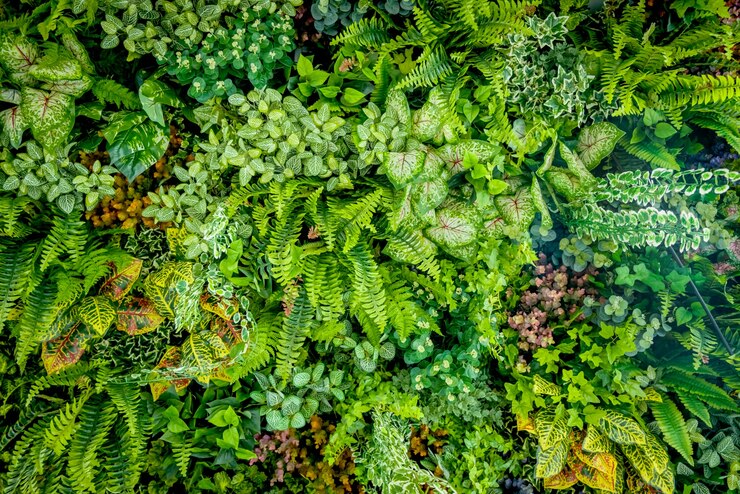 Fondo della pianta di plastica sulla parete, giardino verticale