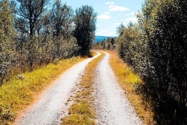 Fondo della strada di autunno della contea della Norvegia hd