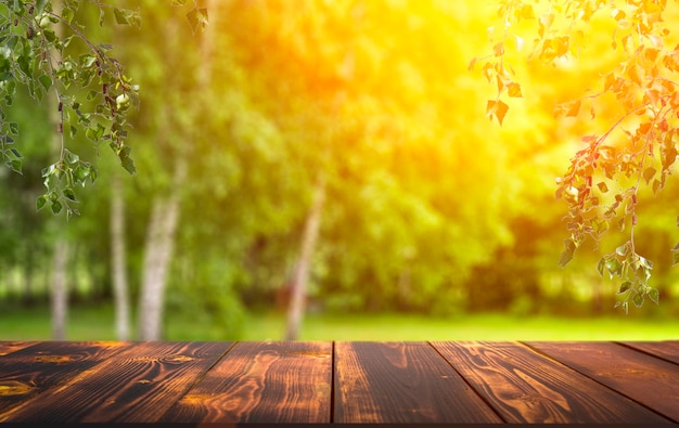 Fondo della tavola di legno della foresta prato soleggiato di estate con fondo degli alberi della foresta dell'erba verde e ruggine...