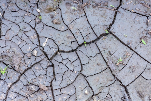 Fondo della terra asciutta incrinata. Il riscaldamento globale