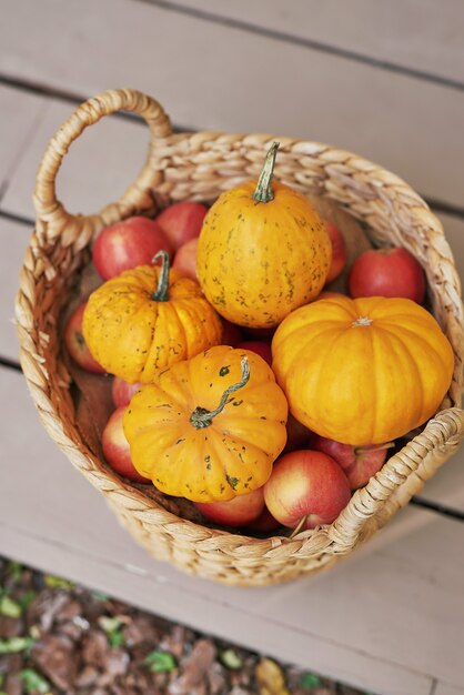 Fondo della terrazza del raccolto autunnale. Halloween. Nazione. Zucche e fiori. Casa per le vacanze. giorno del Ringraziamento