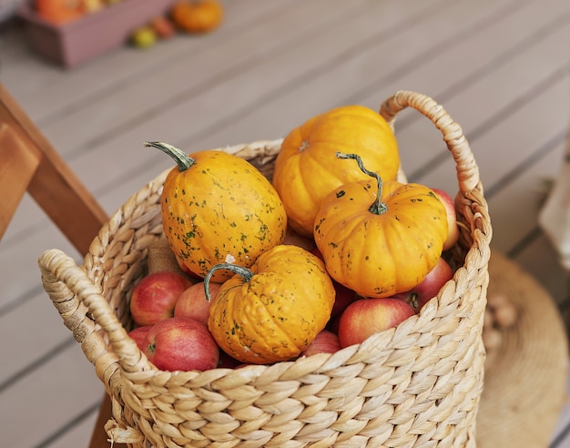 Fondo della terrazza del raccolto autunnale. Halloween. Nazione. Zucche e fiori. Casa per le vacanze. giorno del Ringraziamento