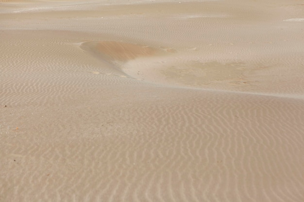 Fondo delle dune di sabbia del deserto con lo spazio della copia