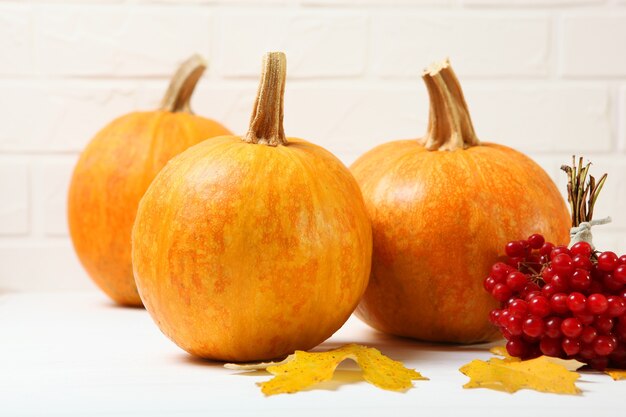 Fondo di autunno del fondo di ringraziamento del primo piano delle zucche