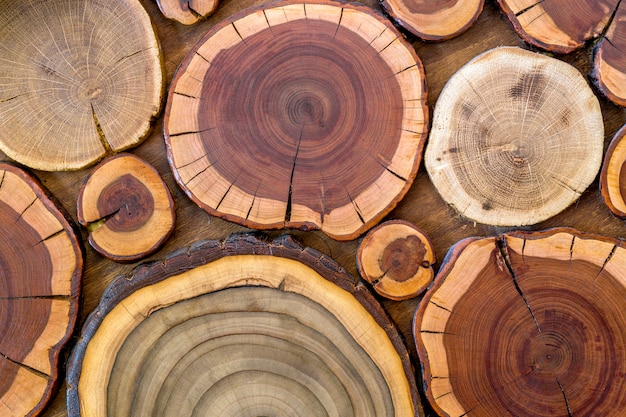 Fondo di ceppi incrinato marrone e giallo colorato ecologico solido naturale non dipinto rotondo di legno, sezioni del taglio dell'albero con le dimensioni e le forme differenti degli anelli annuali, struttura del fondo.