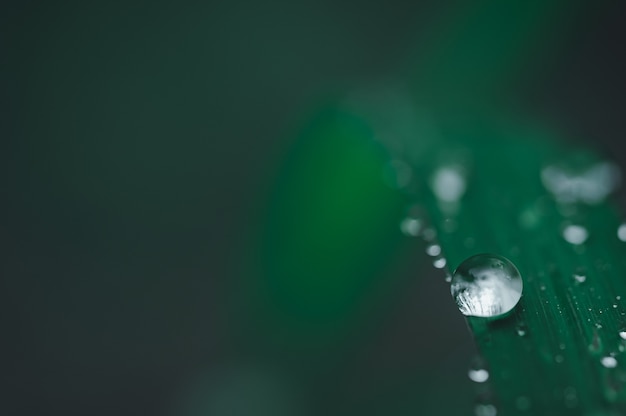 Fondo di concetto di goccia di acqua di amore ambientale