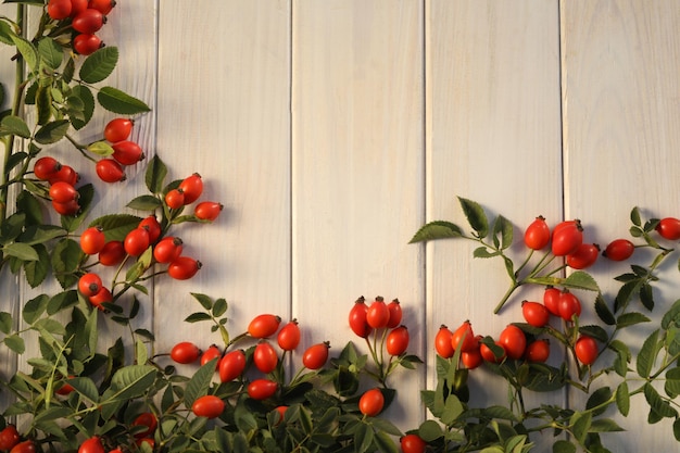 fondo di legno bianco con bacche di rosa e copia spazio