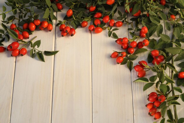 fondo di legno bianco con bacche di rosa e copia spazio