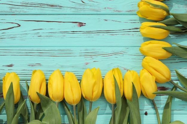 fondo di legno blu con i tulipani gialli e lo spazio della copia