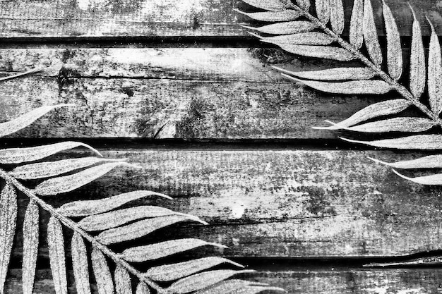 Fondo di legno da tavole strette orizzontali due rami tropicali esotici con foglie di palma sottili a