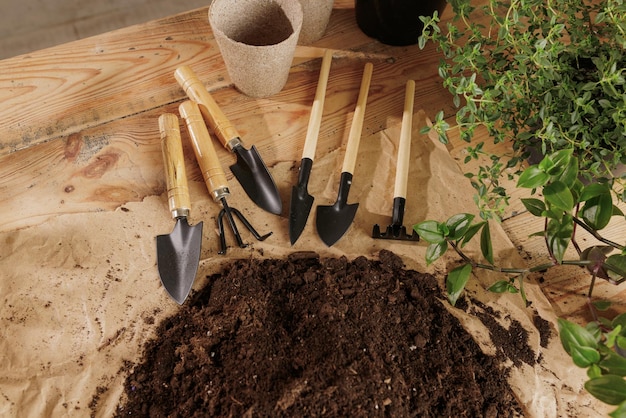 Fondo di legno della pianta con il concetto di cura delle piante degli strumenti di giardinaggio