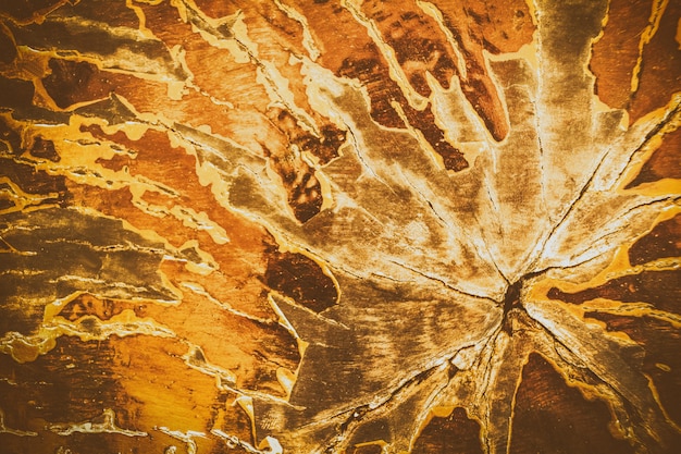 Fondo di legno marrone di struttura di lerciume