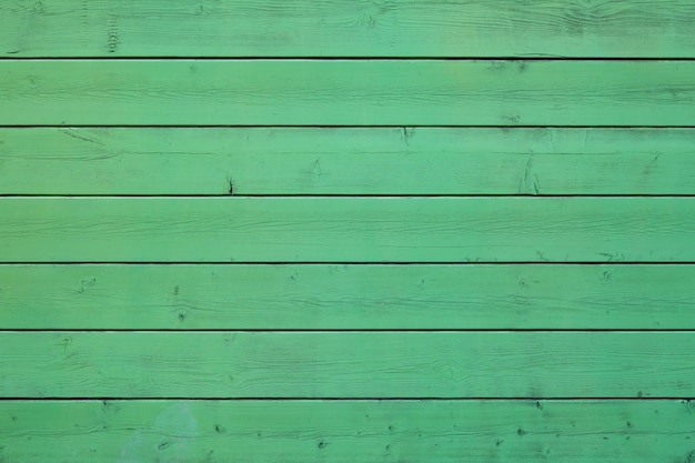 Fondo di legno pastello colorato verde.