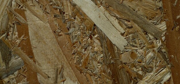 fondo di legno strutturato dell'annata