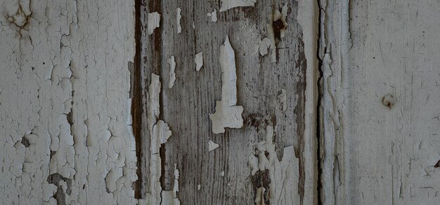 fondo di legno strutturato dell'annata