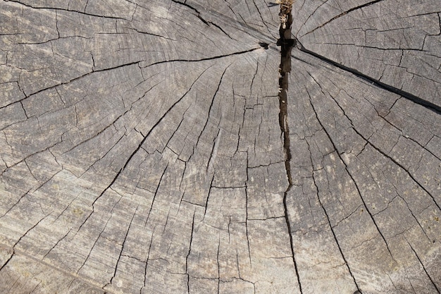 Fondo di legno vecchio pavimento incrinato