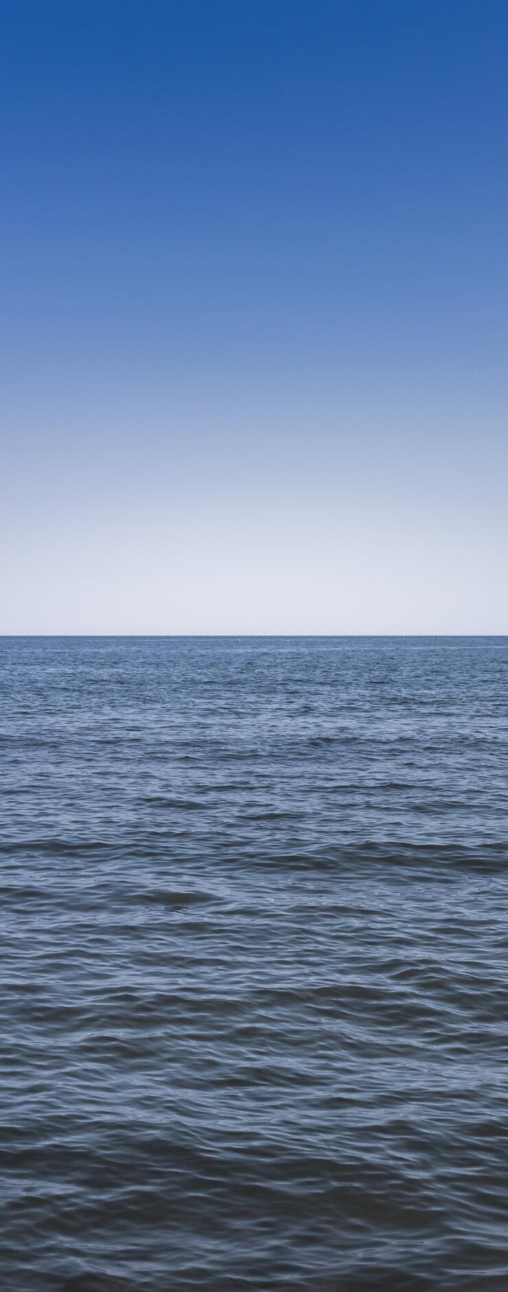 Foto fondo di mare e cielo