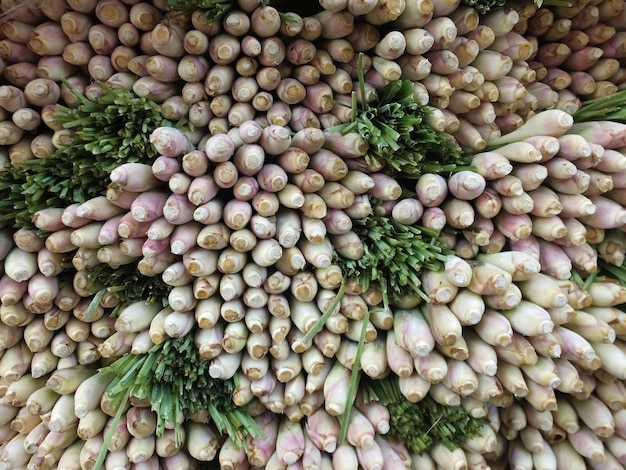 Fondo di struttura del primo piano della citronella