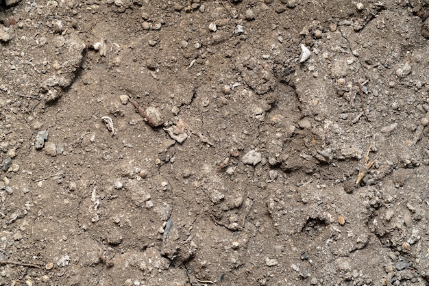 Fondo di struttura del terreno del giardino, primo piano