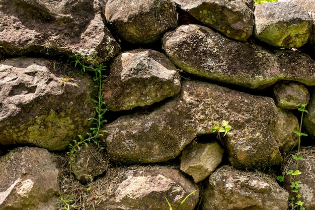 Fondo di struttura della parete della roccia