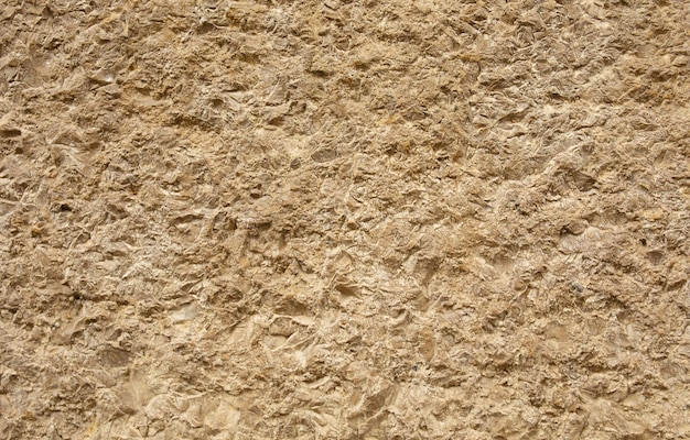Fondo di struttura della pietra della sabbia naturale.