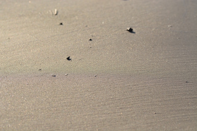 fondo di struttura della sabbia