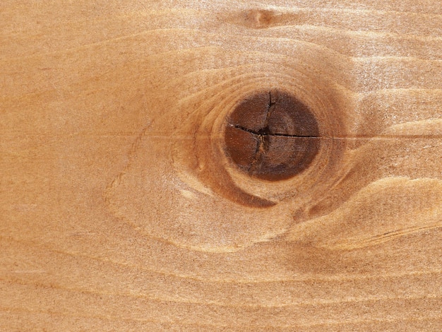 Fondo di struttura di legno marrone