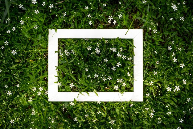 Fondo floreale verde creativo delle foglie naturali e dell'erba del prato con lo spazio bianco della copia della struttura.