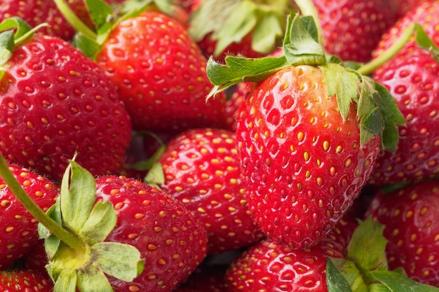 Fondo fresco della frutta della fragola organica