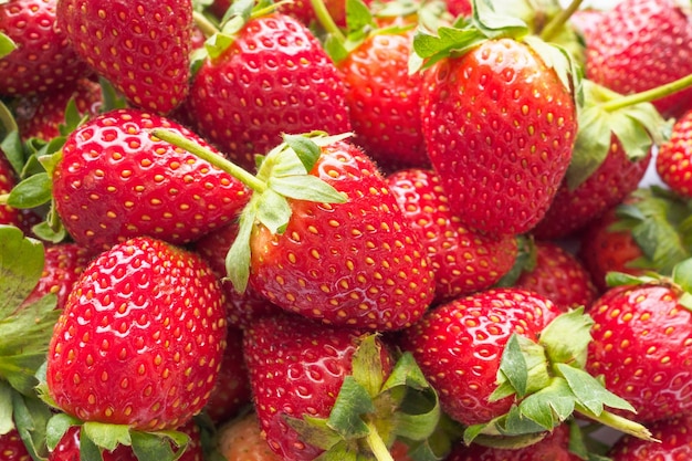 Fondo fresco della frutta della fragola organica