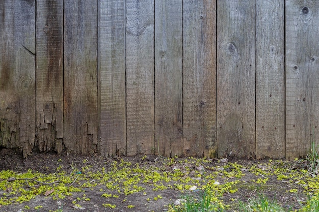 Fondo grigio della superficie della parete delle plance di legno asciutto con la superficie del suolo sotto