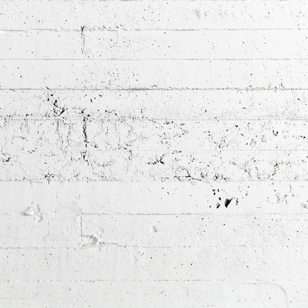 Fondo in cemento bianco irregolare della parete ruvida