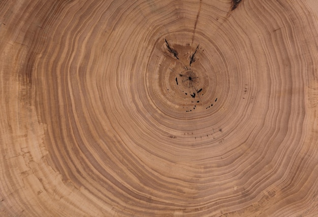 Fondo in legno marrone concentrico con anelli annuali