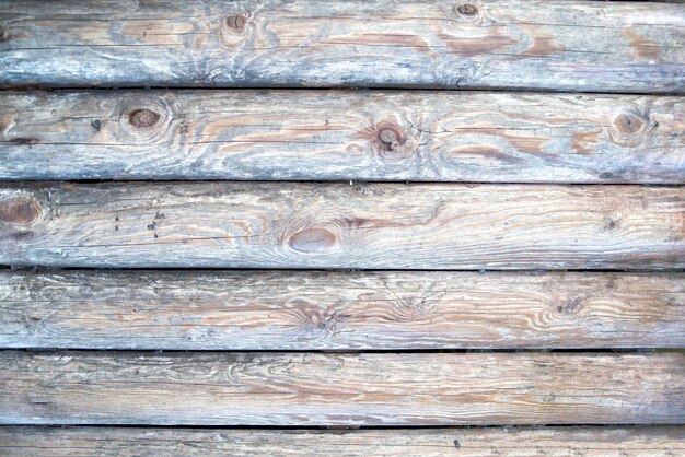 Fondo in legno o struttura di un albero con colori cangianti