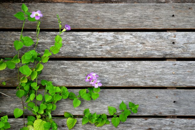 fondo in legno