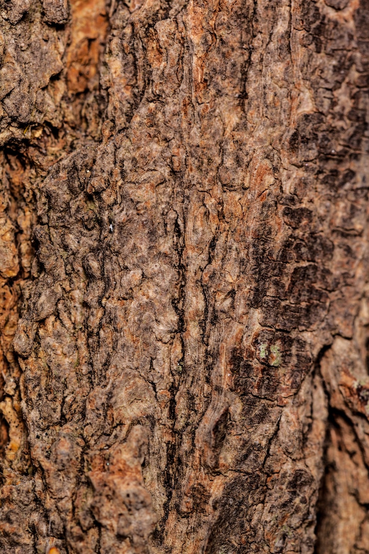 Foto fondo in legno