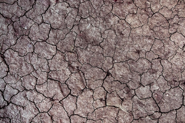 Fondo incrinato del suolo Sporcizia nella stagione secca