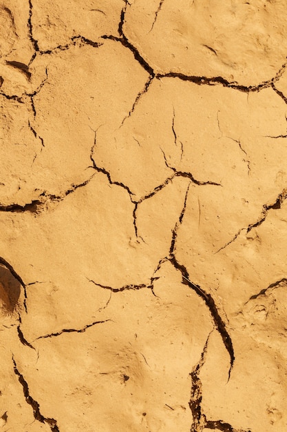 Fondo incrinato secco di struttura del suolo del suolo della terra