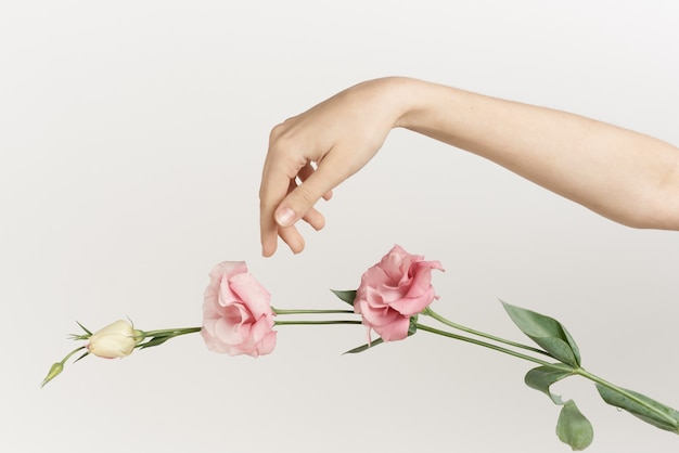 Fondo leggero di modo della decorazione dei fiori della mano femminile