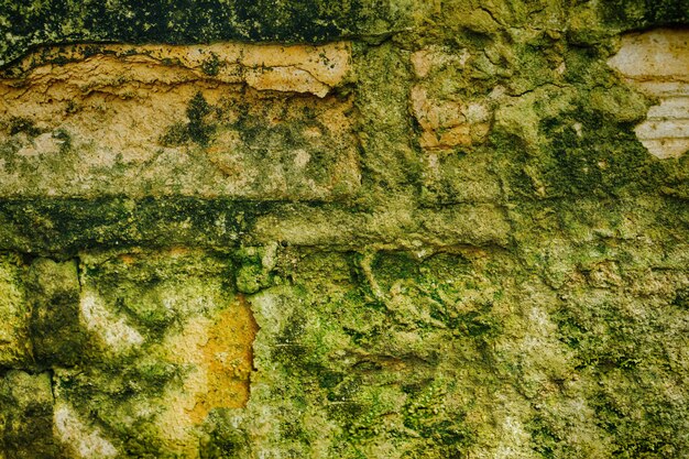 Fondo marrone e verde incrinato del walltexture di calcestruzzo