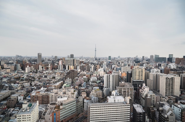 Fondo moderno della via di Tokyo