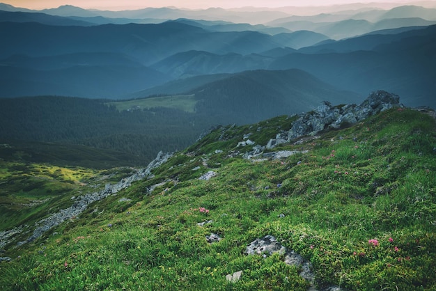 Fondo naturale di viaggio del paesaggio di tramonto di estate delle montagne dei Carpazi