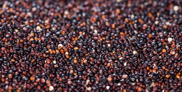 Fondo nero della quinoa