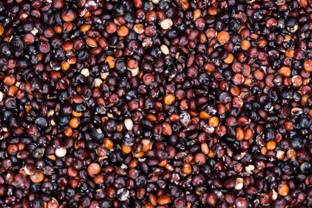 Fondo nero della quinoa